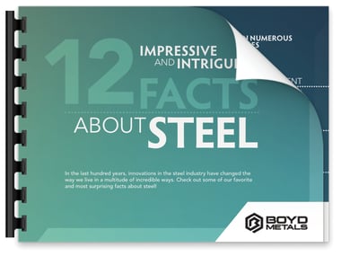 12 Facts about Steel Download Preview